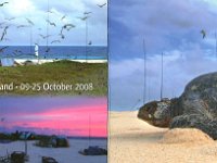 VK9DWX (F/B)