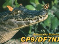 CP9/DF7NX  - CW Year: 2013 Band: 10m