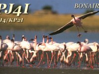 Bonaire