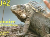 PJ4Z  - SSB Year: 2012 Band: 15m Specifics: IOTA SA-006 Bonaire island