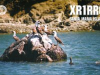 XR1RRC  - CW Year: 2019 Band: 17m Specifics: IOTA SA-069 Santa Maria island