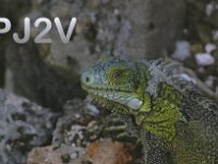 PJ2V  - CW Year: 2014 Band: 15m Specifics: IOTA SA-099 Curacao island
