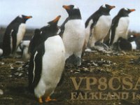 VP8CSA  - SSB Year: 2000 Band: 10m Specifics: IOTA SA-002 East Falkland island