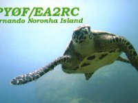 PY0F/EA2RC  - SSB Year: 2005 Band: 17, 20m Specifics: IOTA SA-003 Fernando de Noronha island