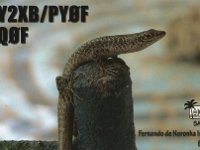PY0F/PY2XB  - CW Year: 2005 Band: 12, 17, 30m Specifics: IOTA SA-003 Fernando de Noronha island