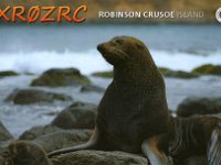 XR0ZRC  - CW Year: 2019 Band: 17, 20m Specifics: IOTA SA-005 Robinson Crusoe island