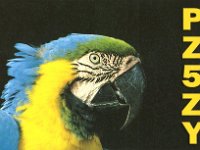 PZ5ZY  - CW Year: 2006 Band: 15, 20, 40m