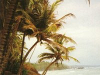 9Y4/DL2YY  - SSB Year: 2001 Band: 10m Specifics: IOTA SA-011 Trinidad island