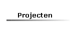 Projecten