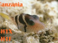 5H1X  -  CW Year: 2001 Band: 10m Specifics: IOTA AF-063 Pemba island
