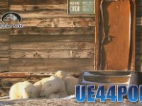 UE44POL/p  - CW Year: 2013 Band: 20m Specifics: IOTA AS-005 Dikson island