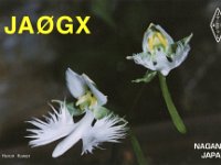 JA0GX  - SSB Year: 2002 Band: 10m Specifics: IOTA AS-007 Honshu island. Nagano prefecture