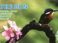 JH5PLN  - CW Year: 2000 Band: 10m Specifics: IOTA AS-076 Shikoku island. Kagawa prefecture