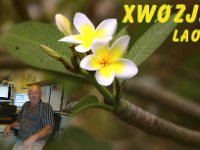 XW0ZJZ  - CW Year: 2013 Band: 12m