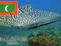 Maldives