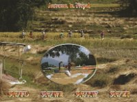 9N7WE  - SSB Year: 2015, 2016 Band: 12, 15, 17, 20m