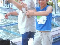 9M2/G3TMA  - CW Year: 2003 Band: 17m Specifics: IOTA AS-074 Ketam island