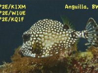 VP2E/K1XM  - CW Year: 2010 Band: 15m Specifics: IOTA NA-022 mainland Anguilla