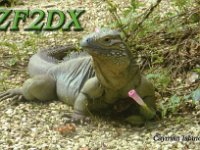 ZF2DX  - CW Year: 2014 Band: 15, 17, 30m Specifics: IOTA NA-016 Grand Cayman island