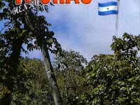 YN9H  - SSB Year: 2024 Band: 10m