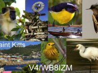 V4/WB8IZM  - SSB Year: 2024 Band: 10m Specifics: IOTA NA-104 Saint Kitts island