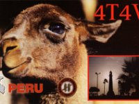 4T4V  - CW Year: 2002 Band: 10m