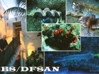 3B8/DF8AN  -  CW Year: 2006 Band: 17m Specifics: IOTA AF-049 mainland Mauritius