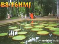 3B8/F6HMJ  -  CW - SSB Year: 2001 Band: 10m Specifics: IOTA AF-049 mainland Mauritius