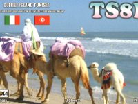 TS8P  -  CW - SSB Year: 2010 Band: 15, 17, 20m Specifics: IOTA AF-083 Djerba island