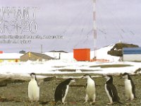 RI44ANT  -  CW Year: 2014 Band: 10m Specifics: IOTA AN-010 King George island. Bellingshausen Station