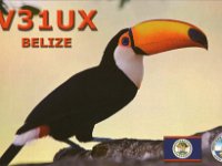 V31UX  - CW Year: 2019 Band: 17m