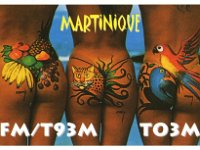 FM/T93M  - SSB Year: 2004 Band: 15, 20m Specifics: IOTA NA-107 mainland Martinique