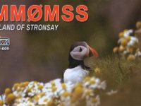 MM0MSS  - SSB Year: 2005 Band: 10m Specifics: IOTA EU-009 Stronsay island