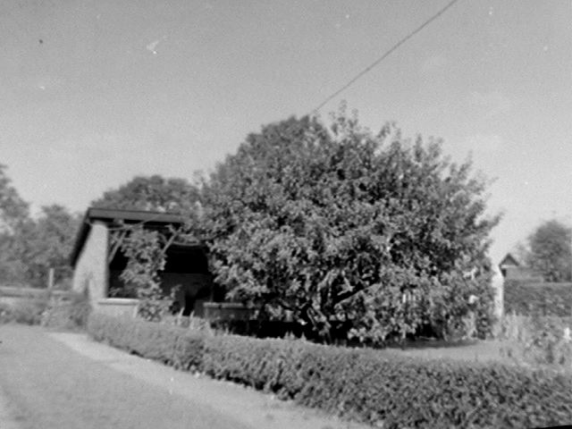 1953 Photo of backyard of landlord Botesdale, Suffolk, UK
