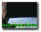 [Click to enlarge]