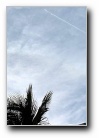 [Click to enlarge]