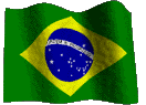 governo do brasil
