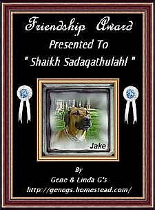 Friendship Award