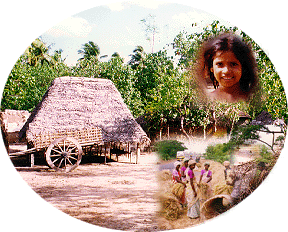 Village