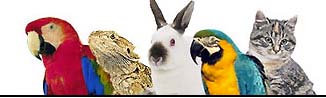 Let us be kind to the animals