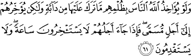 If Allah were to punish men for their wrong-doing, He would not leave, on the (earth), a single living creature: but He gives them respite for a stated Term: When their Term expires, they would not be able to delay (the punishment) for a single hour, just as they would not be able to anticipate it (for a single hour). Holy Quran - S16A61