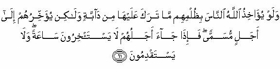 Holy Quran