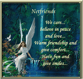 Net Friends