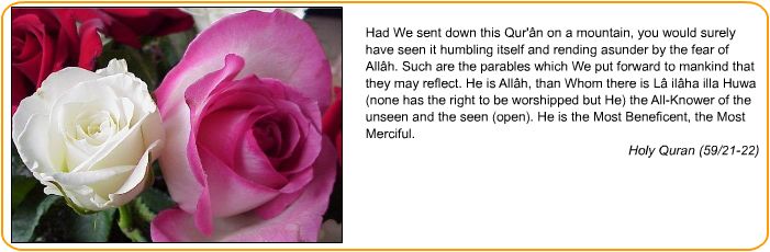 Holy Quran Words