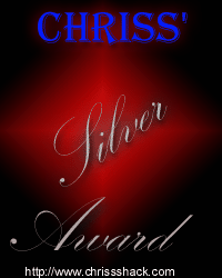 Chris's silver award of excellence