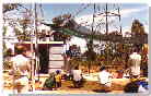 img056s.jpg shade