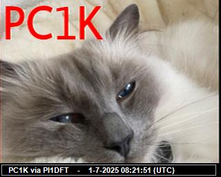 History #24 de VK7RDR