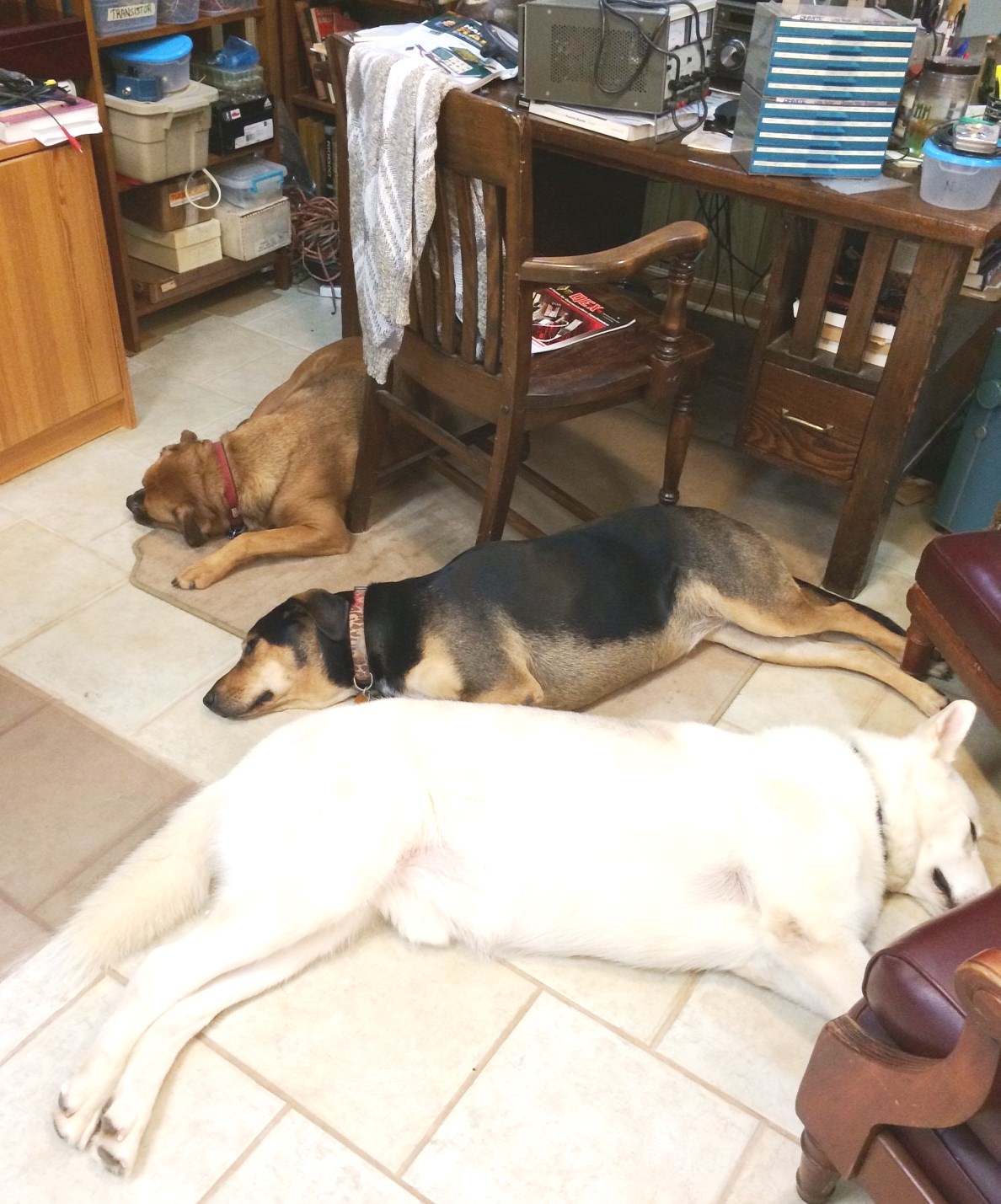 Ham Pack covering floor