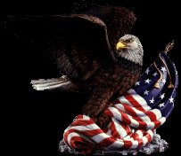 eagle4.gif