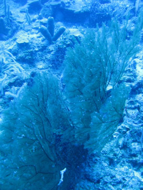 img_1350.jpg